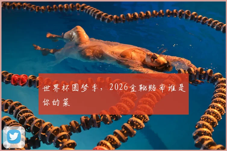 世界杯圆梦季,2026金靴赔率谁是你的菜