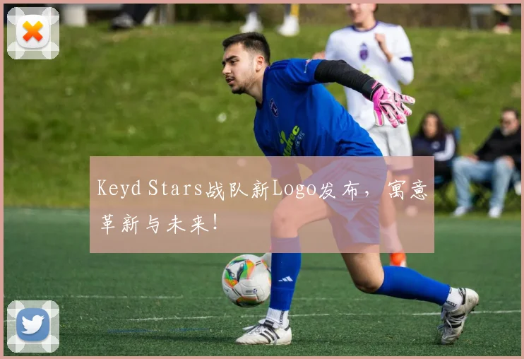 Keyd Stars战队新Logo发布,寓意革新与未来!
